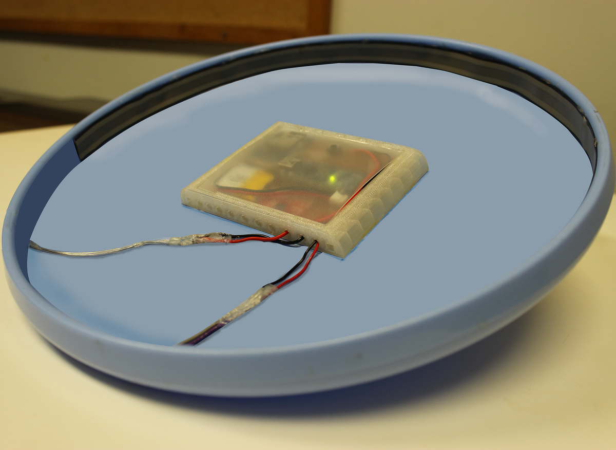 Ultimate Trainer: Instructional Feedback for Ultimate Frisbee Players